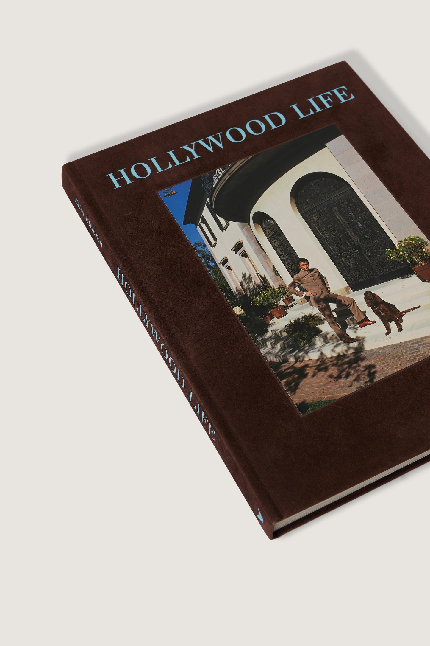 LIVRE "HOLLYWOOD LIFE"